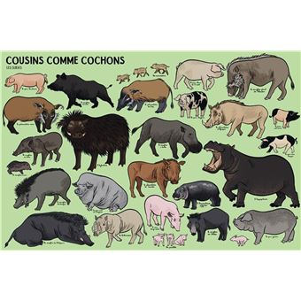 Beaucoup beaucoup d'animaux