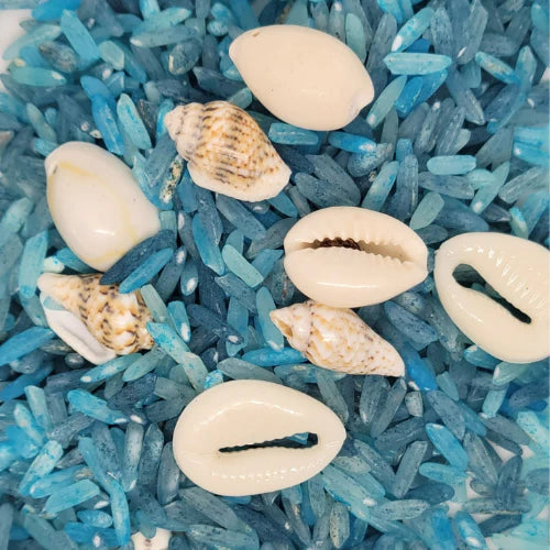 đ Bouteille sensorielle "TrĂ©sor marin"