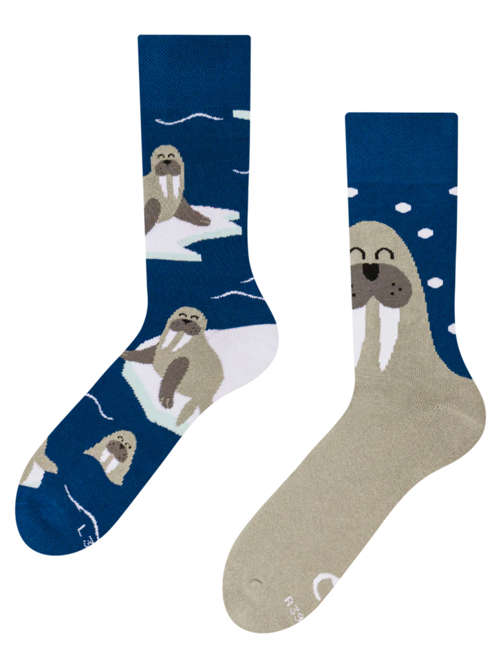 Chaussettes - Morse