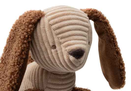 Jouet d'Activités - Diego