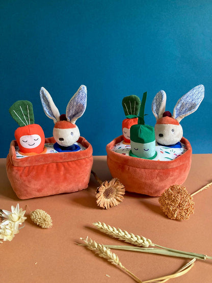 Le Potager de Gabin lapin avec 3 jouets d'activités