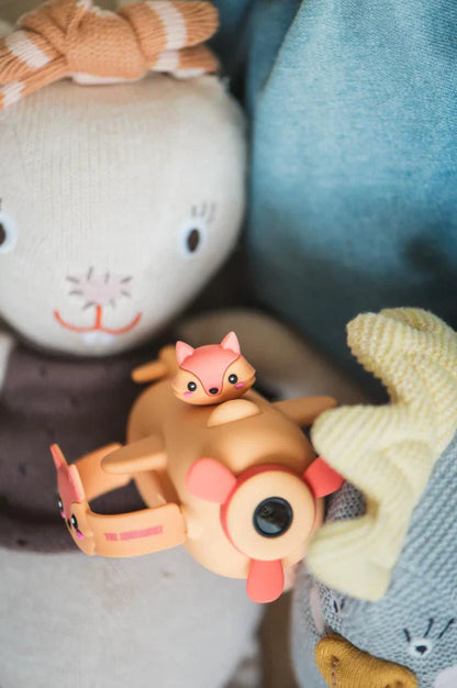 Caméra Zoo Video - Renard