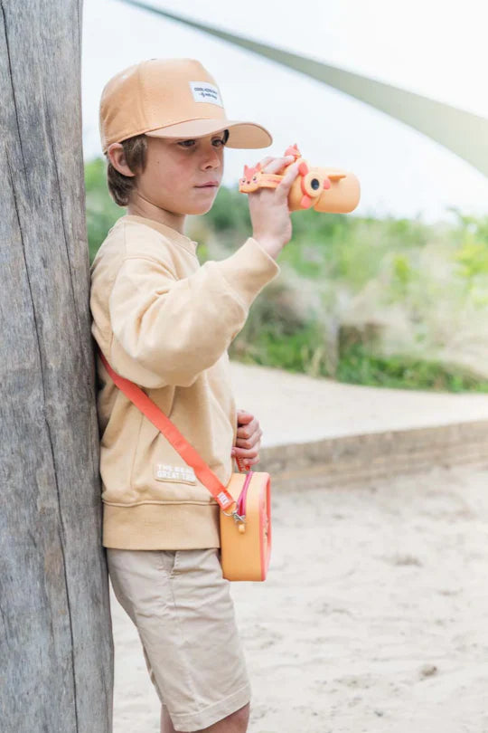 Caméra Zoo Video - Renard