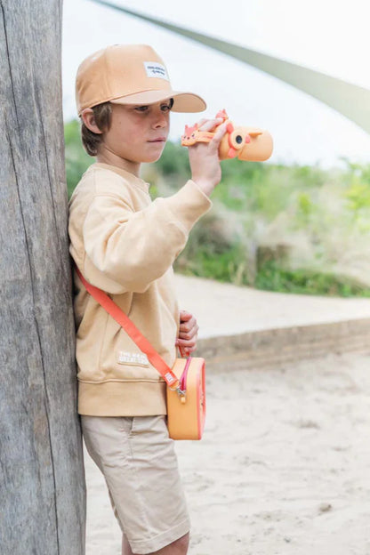 Caméra Zoo Video - Renard