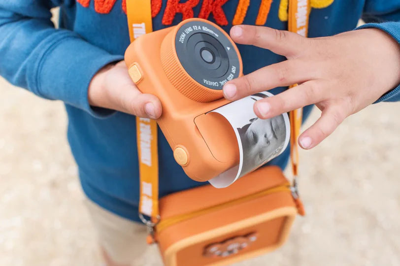 Appareil photo zoo print - Ours