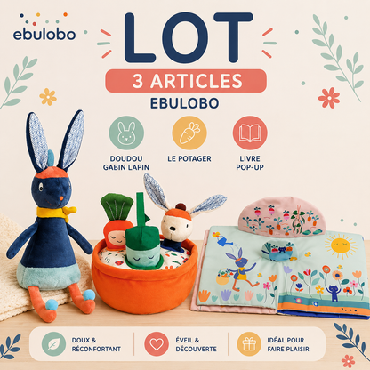 Lot n°2 Ebulobo