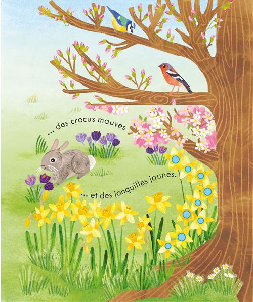 Coucou ! Le printemps