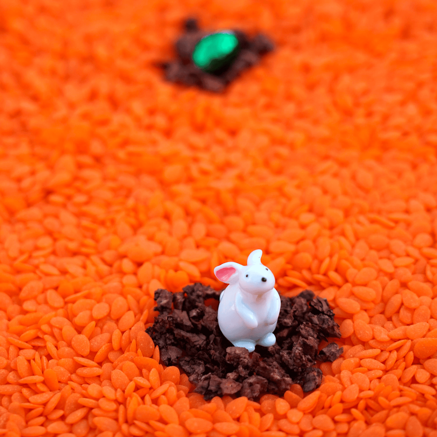 Bouteille sensorielle sonore - Lapin