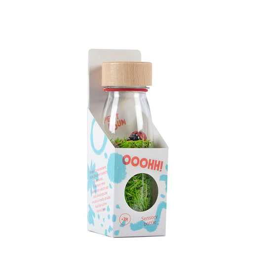 Bouteille sensorielle sonore - Coccinelles