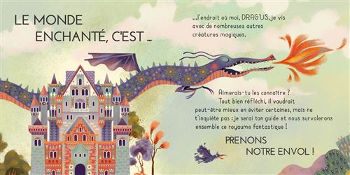 Le monde enchanté - Livre et puzzle cherche et trouve