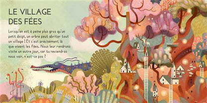 Le monde enchanté - Livre et puzzle cherche et trouve