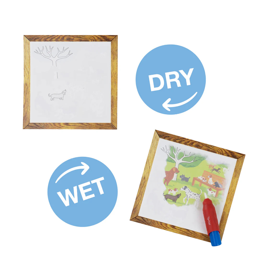 Peinture Magique - Animaux de compagnie