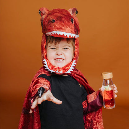 Bouteille Move - T-rex