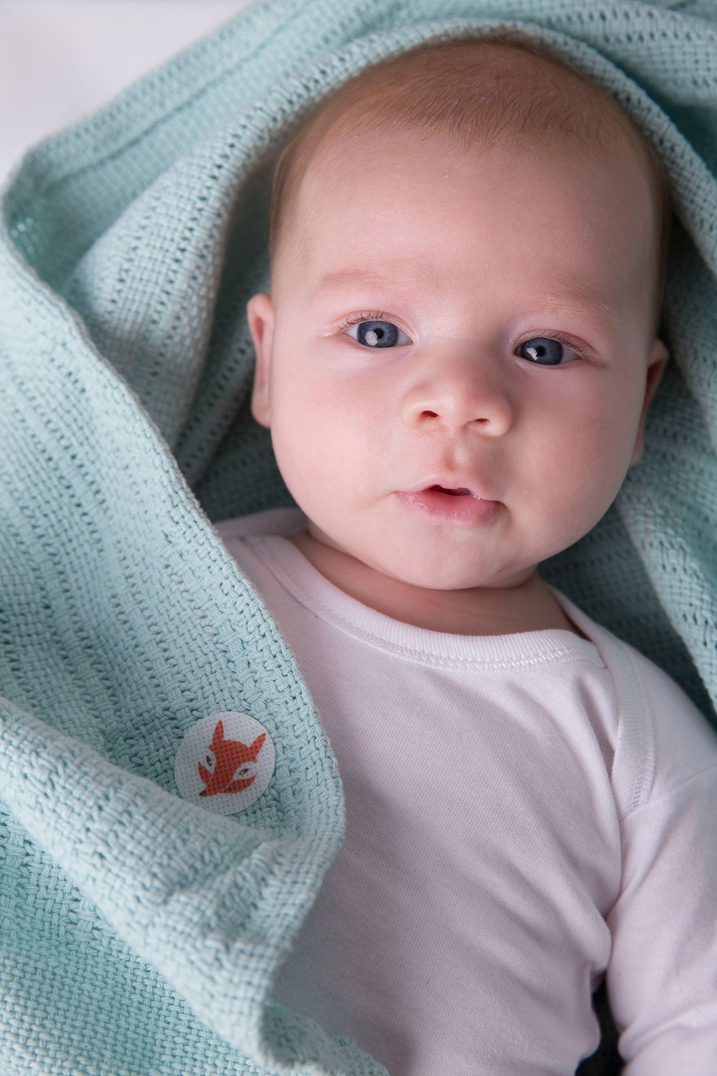 Boîte de 24 stickers anti moustiques