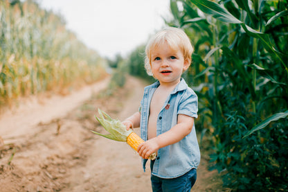 Boîte de 24 stickers anti moustiques