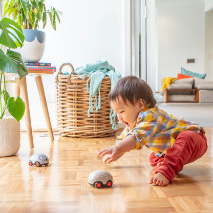 Voitures à friction - Koala et Porc-épic