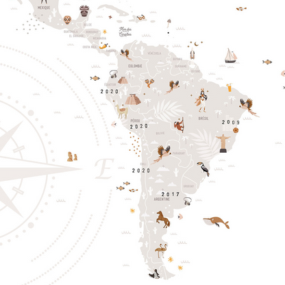 Affiche Carte du Monde