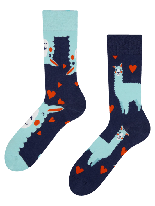 Chaussettes Lama et cœurs