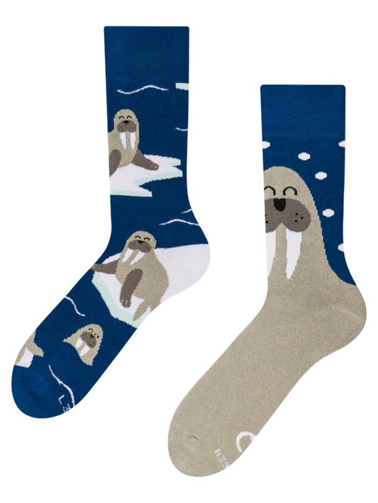 Chaussettes - Morse