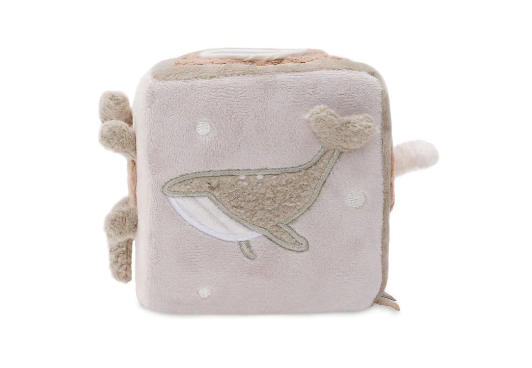 Cube d'activités Deepsea
