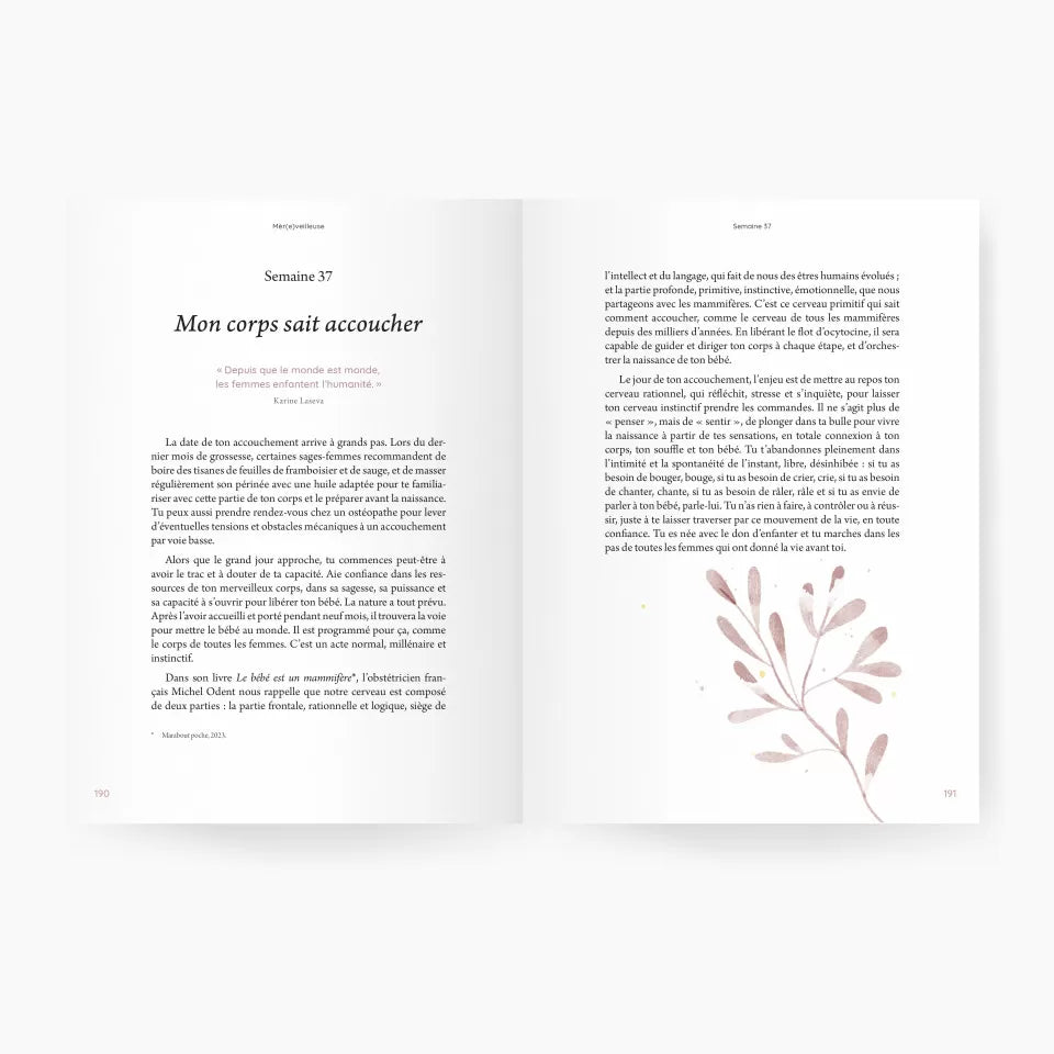 Guide de Grossesse - Mèr(e)veilleuse