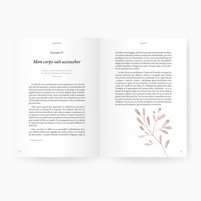 Guide de Grossesse - Mèr(e)veilleuse