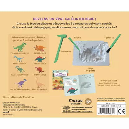Mes 2 dinosaures à déterrer