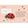Mes insectes à déterrer