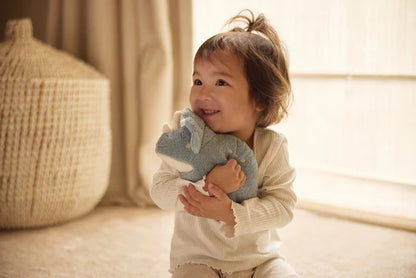 Peluche Roarsome