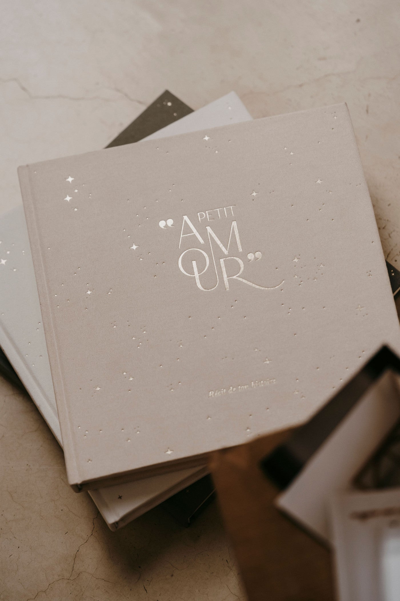 Livre de naissance Petit Amour (3 coloris)