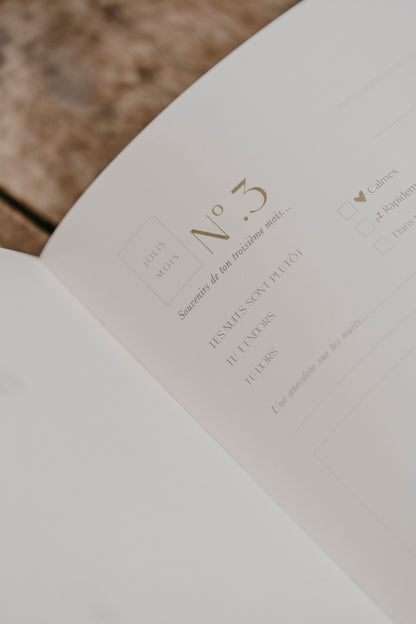 Livre de naissance Petit Amour (3 coloris)