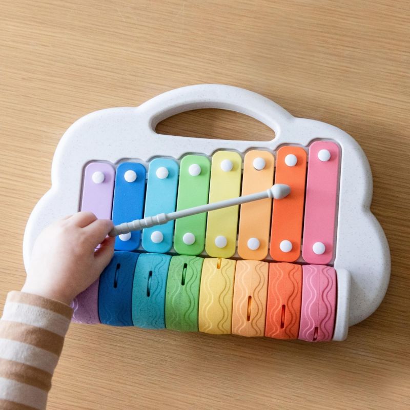 Xylophone à rouleaux arc-en-ciel